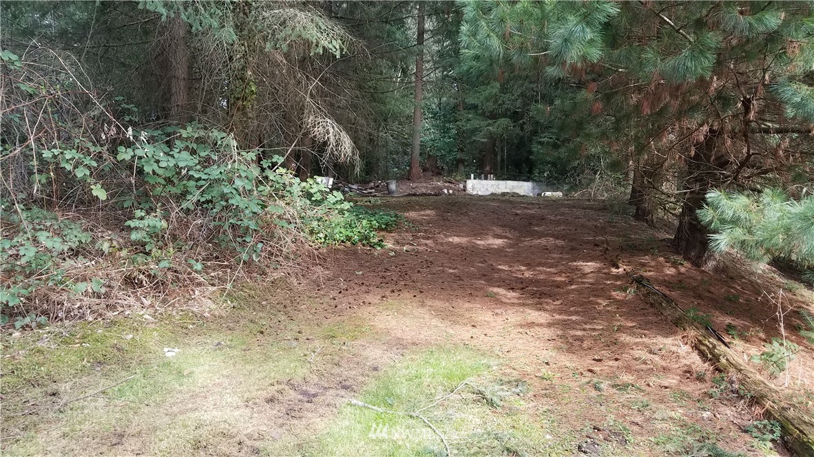 119 231st Street Southeast Bothell, WA 98021 - Photo 4 of 7