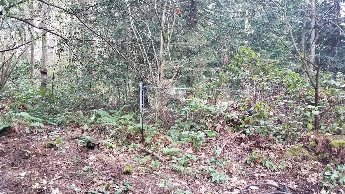 119 231st Street Southeast Bothell, WA 98021 - Photo 5 of 7