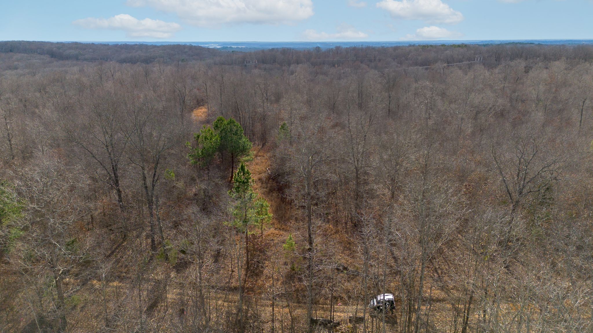 1 Olde Tennessee Trail Springville, TN 38256 - Photo 2 of 12 a view of a dry yard