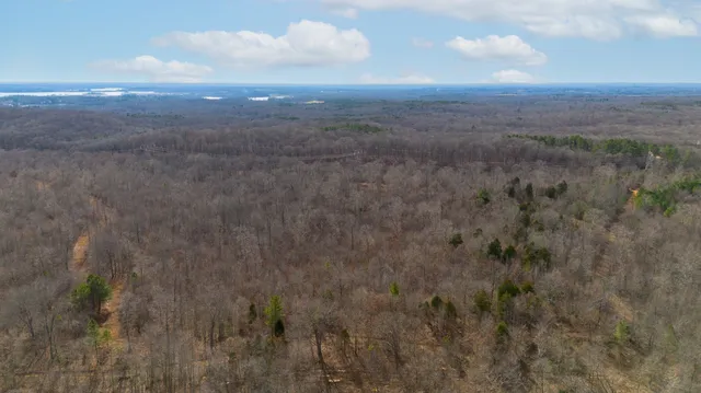 a view of city and green space