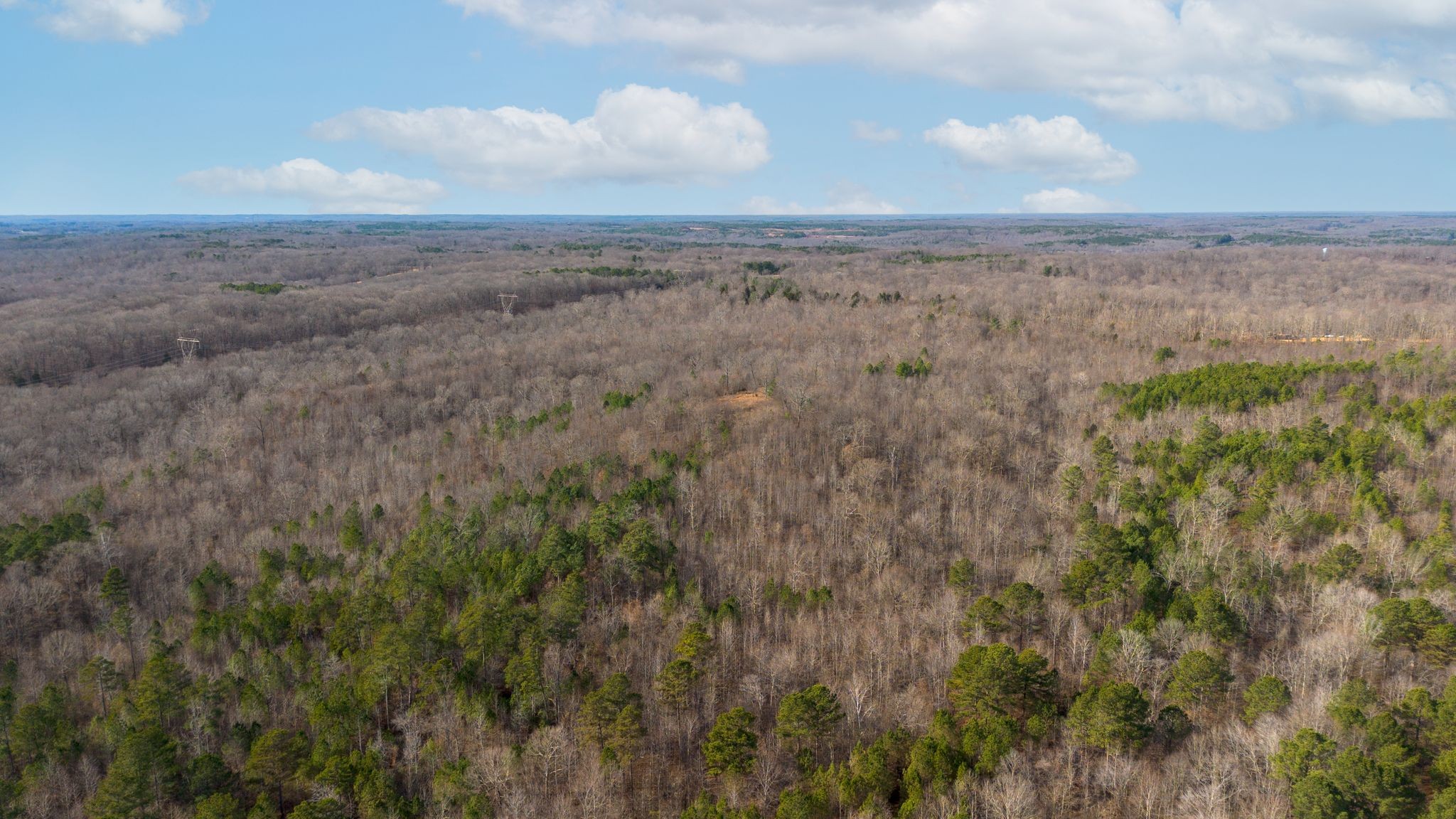 1 Olde Tennessee Trail Springville, TN 38256 - Photo 9 of 12 a view of city and green space