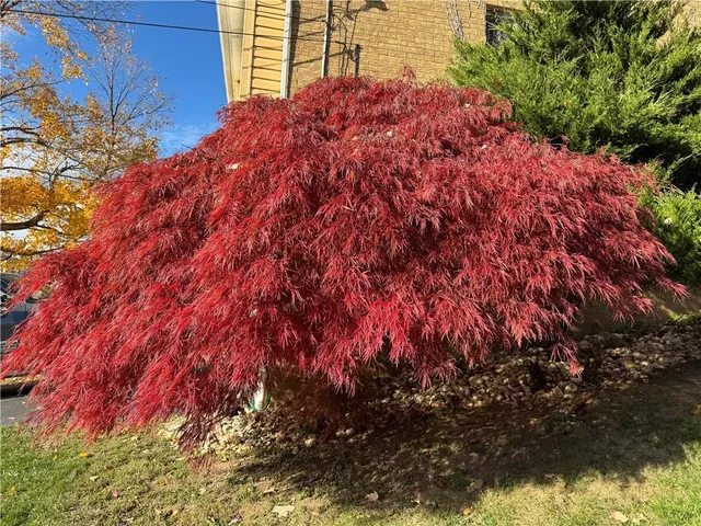 $162,900 | 405 Diehl Drive, McKeesport, PA 15132