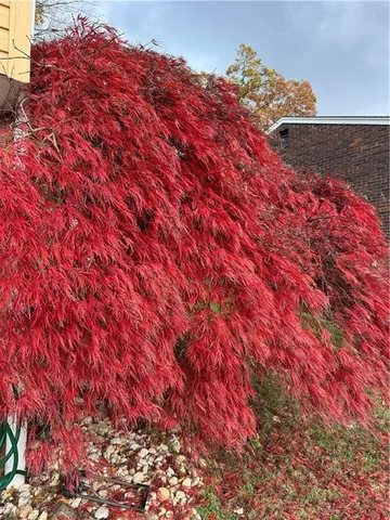 $162,900 | 405 Diehl Drive, McKeesport, PA 15132