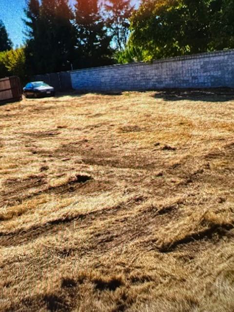 5525 Quashnick Road Stockton, CA 95212 - Photo 4 of 6 a view of swimming pool