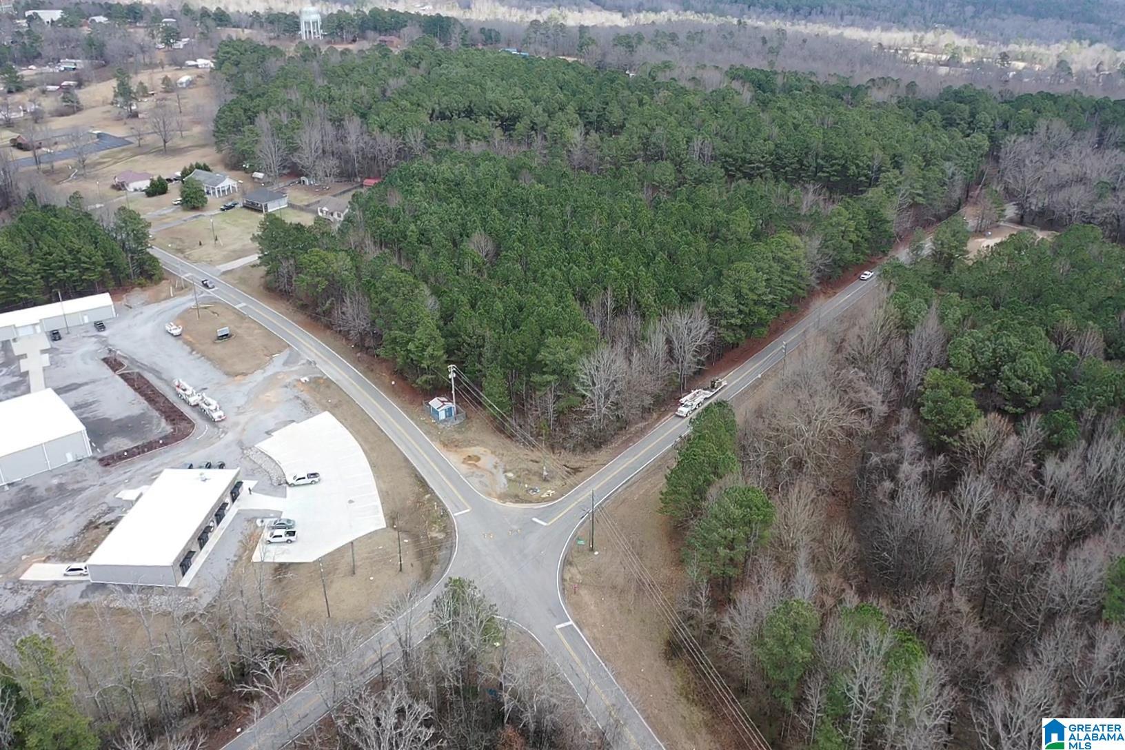 1689 Arkadelphia Road, Unit LOT 1 Warrior, AL 35180 - Photo 11 of 12