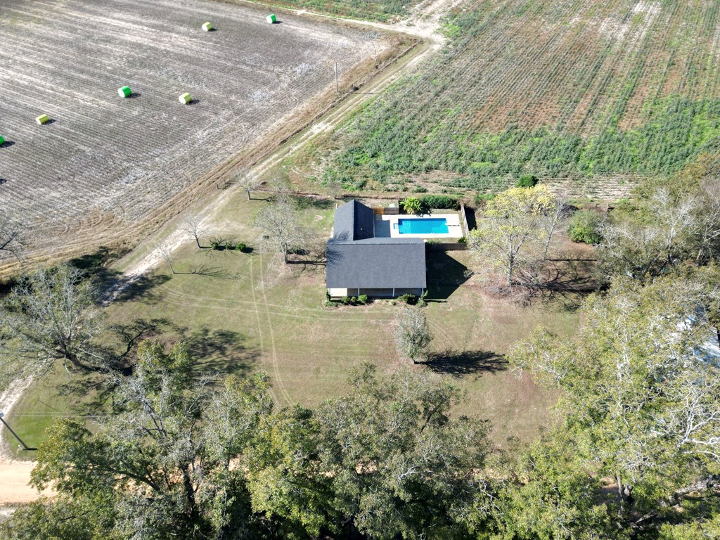 870 Wayne Road Cottonwood, AL 36320 - Photo 4 of 74