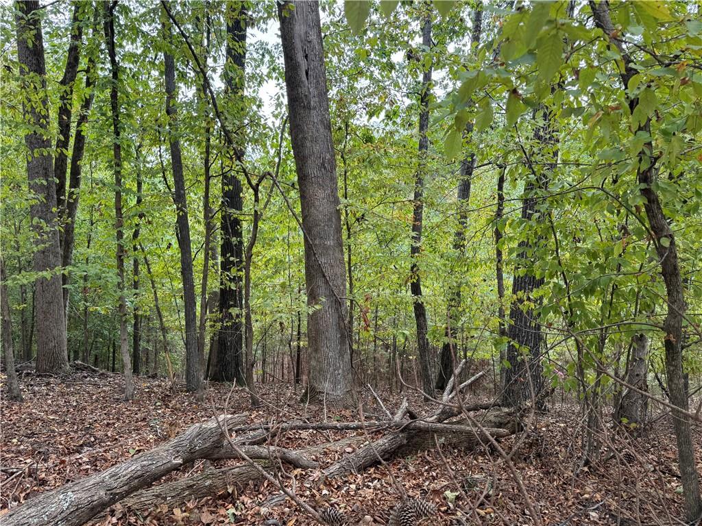 8290 Jett Ferry Road Atlanta, GA 30350 - Photo 11 of 16 a view of outdoor space and trees