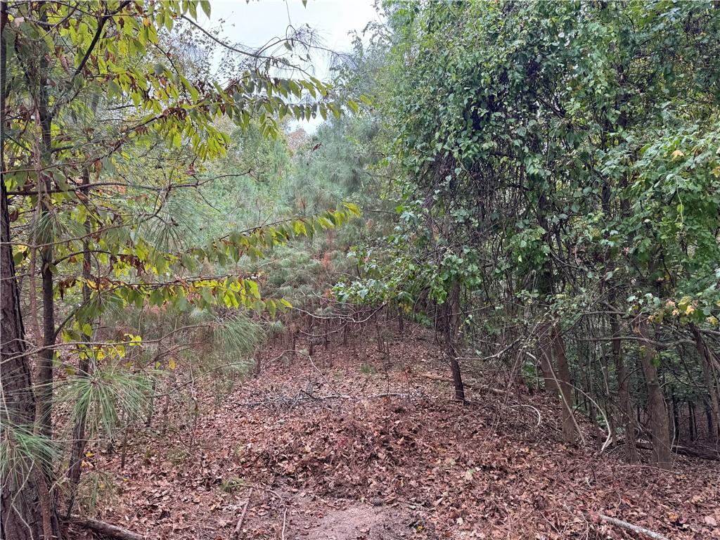 8290 Jett Ferry Road Atlanta, GA 30350 - Photo 12 of 16 a view of a yard