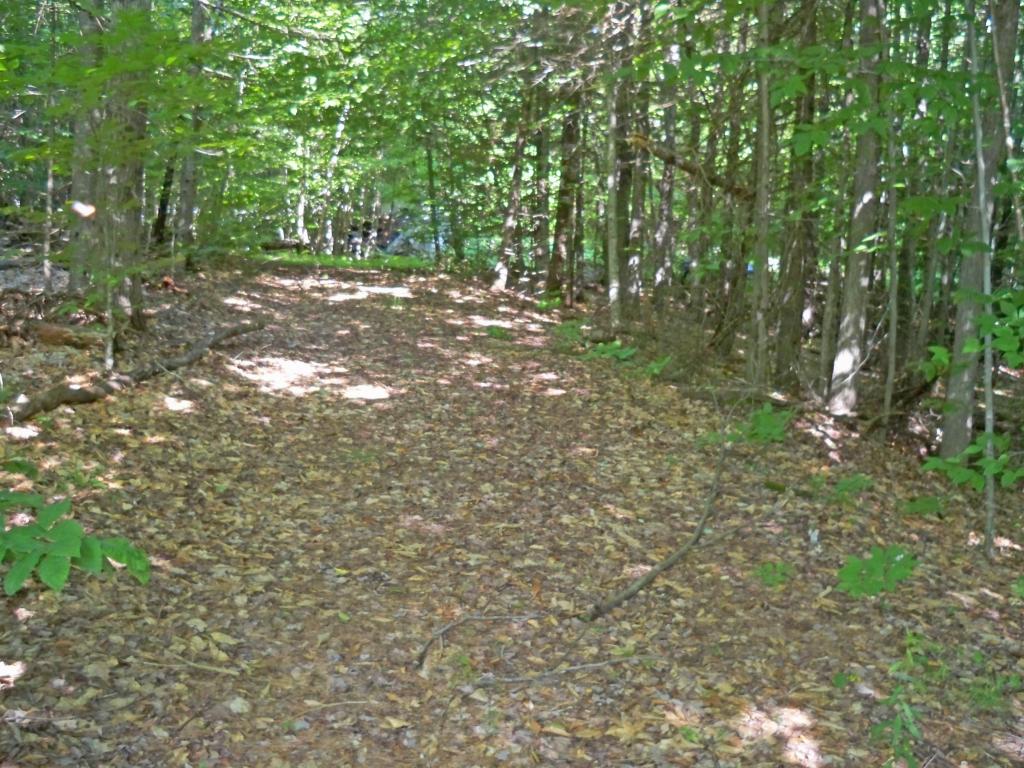 26 Anderson Road Rumney, NH 03266 - Photo 1 of 5 Gallery Image 1