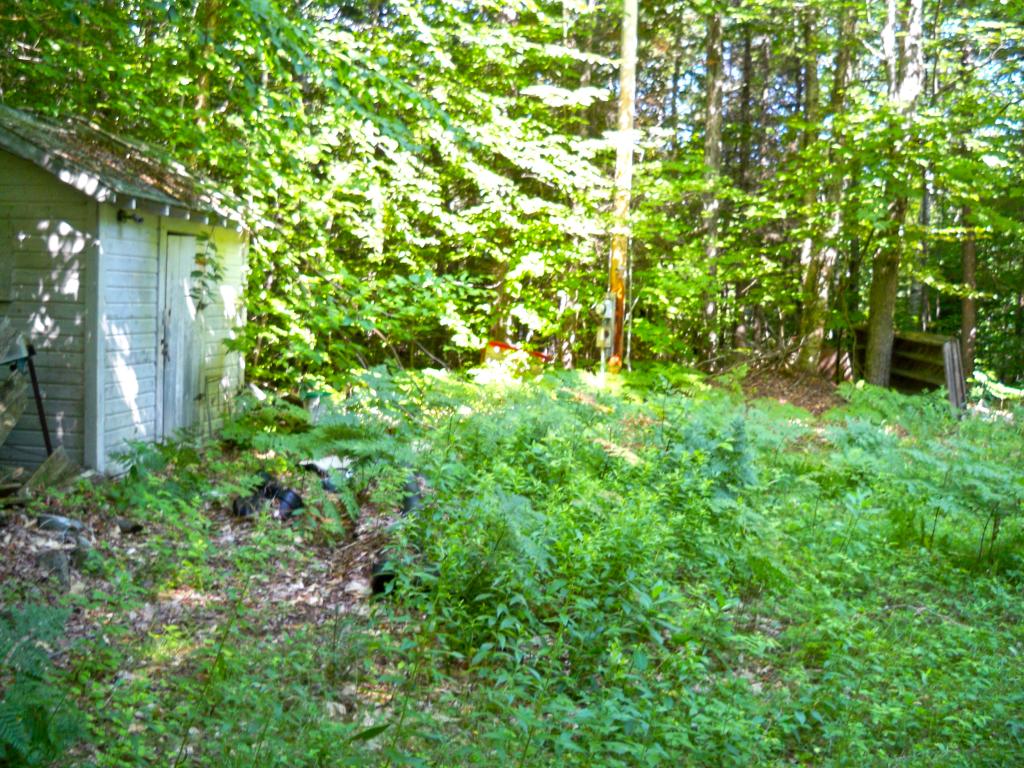 26 Anderson Road Rumney, NH 03266 - Photo 4 of 5 Gallery Image 4