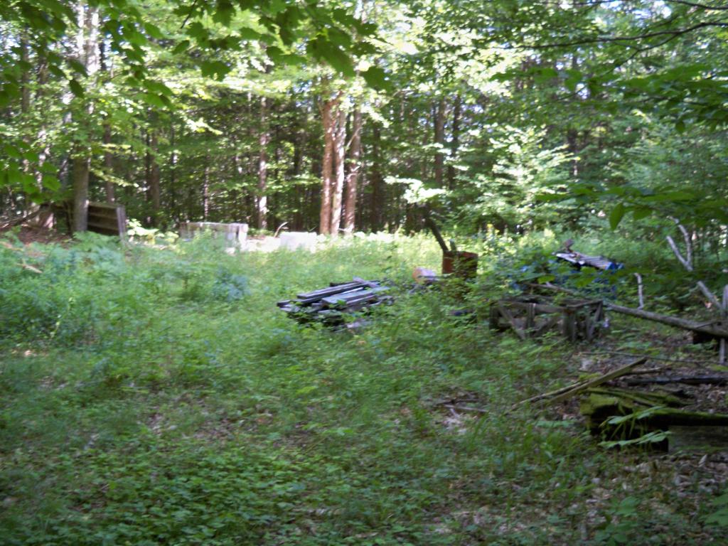 26 Anderson Road Rumney, NH 03266 - Photo 5 of 5 Gallery Image 5