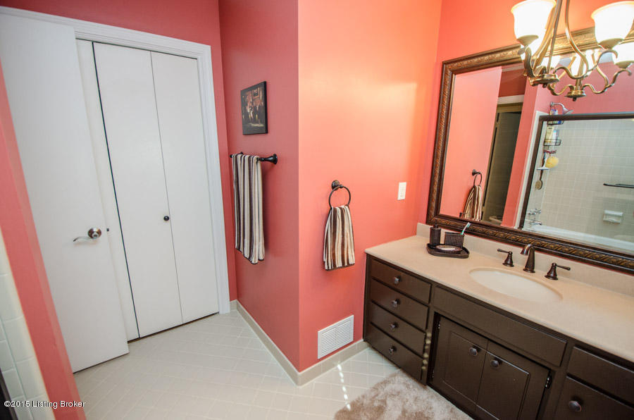 7805 Pine Ridge Road Louisville, KY 40241 - Photo 17 of 41 Updated sink/mirror