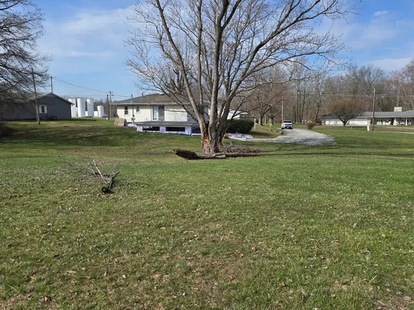 a view of a tree in front of a brick house