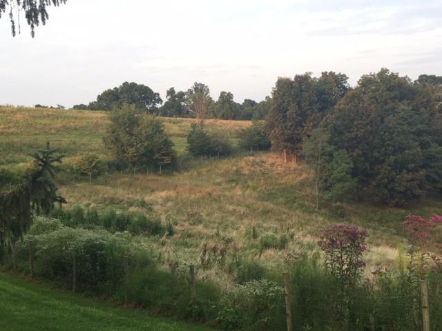 26880 Locust Grove Road McArthur, OH 45651 - Photo 1 of 27 Gallery Image 1