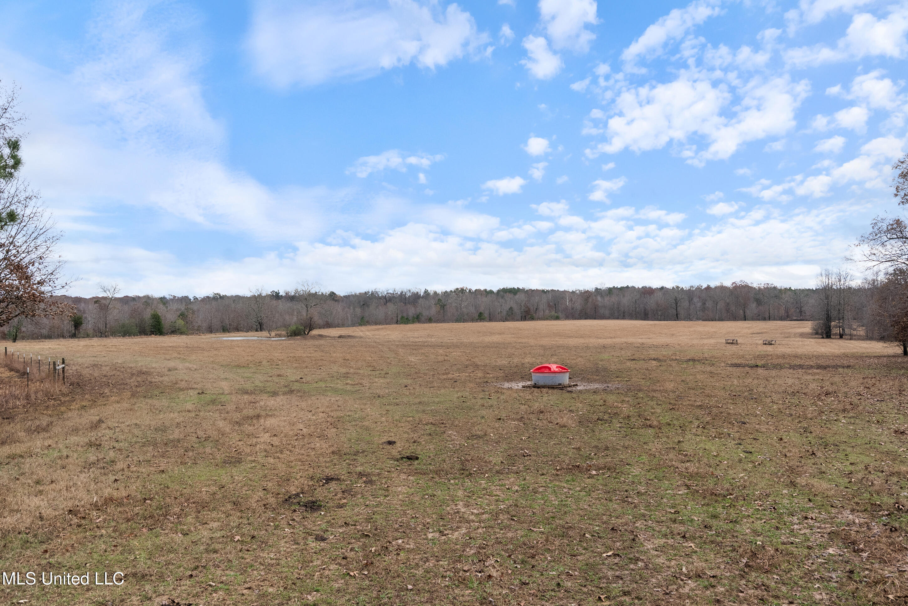 532 Quailwood Road Holly Springs, MS 38635 - Photo 101 of 113 dsc03160