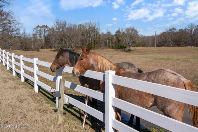 $6,775,000 | 532 Quailwood Road, Holly Springs, MS 38635