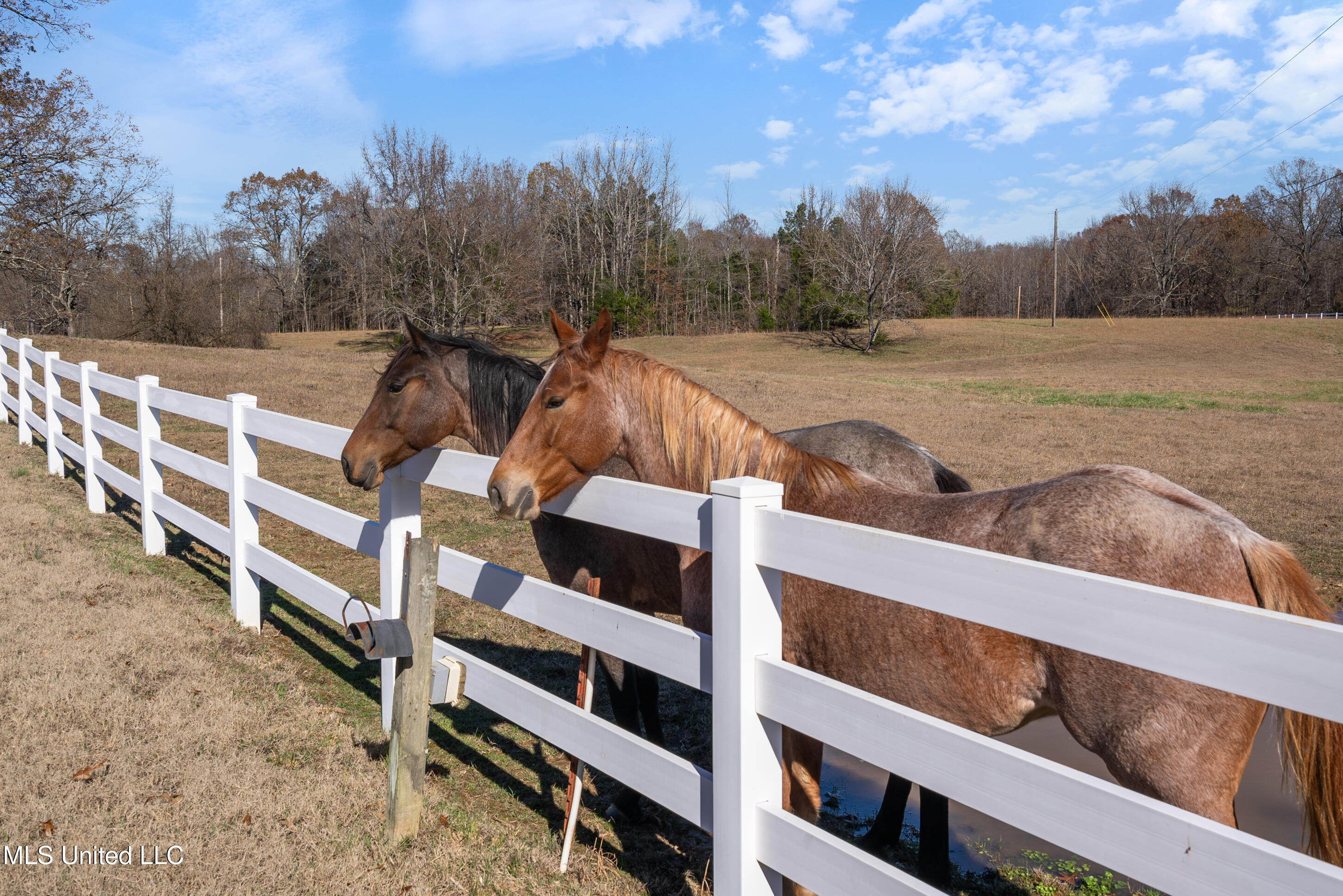 532 Quailwood Road Holly Springs, MS 38635 - Photo 102 of 113 dsc03172