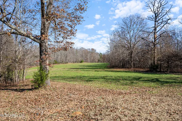 $6,775,000 | 532 Quailwood Road, Holly Springs, MS 38635