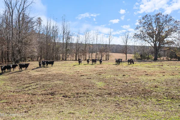 $6,775,000 | 532 Quailwood Road, Holly Springs, MS 38635
