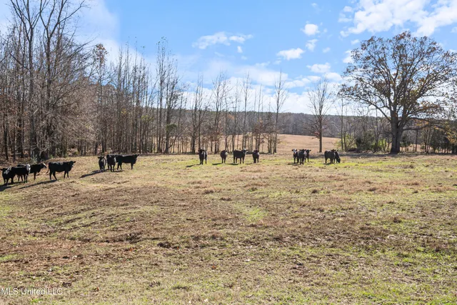 $6,775,000 | 532 Quailwood Road, Holly Springs, MS 38635