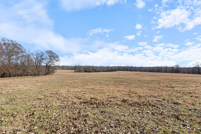 $6,775,000 | 532 Quailwood Road, Holly Springs, MS 38635