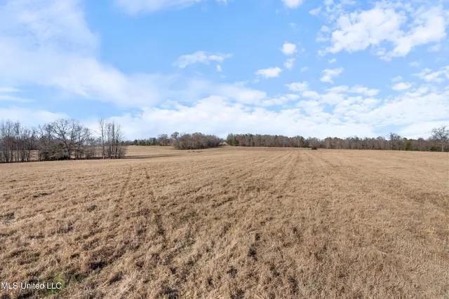 $6,775,000 | 532 Quailwood Road, Holly Springs, MS 38635