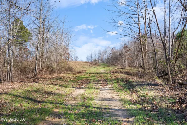 $6,775,000 | 532 Quailwood Road, Holly Springs, MS 38635