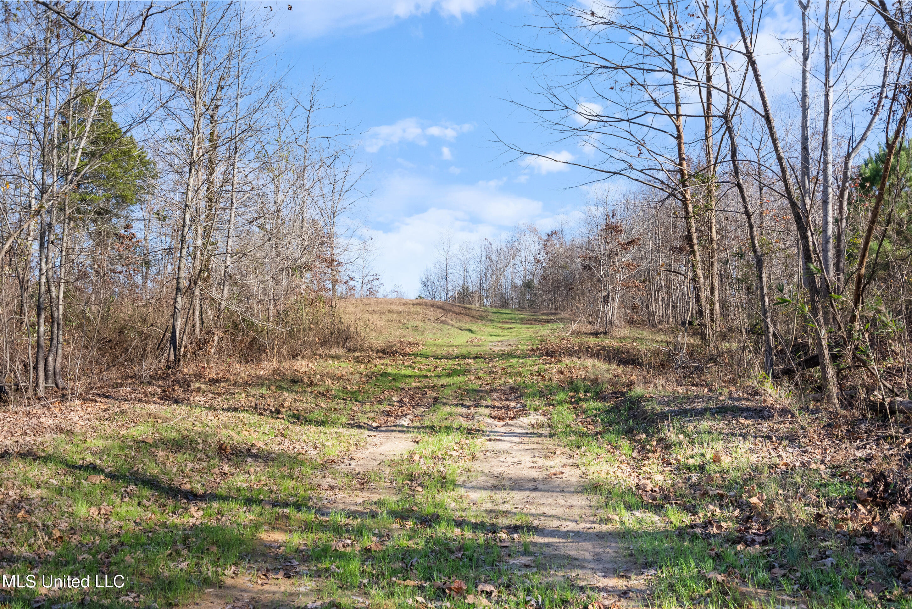 532 Quailwood Road Holly Springs, MS 38635 - Photo 109 of 113 dsc03232
