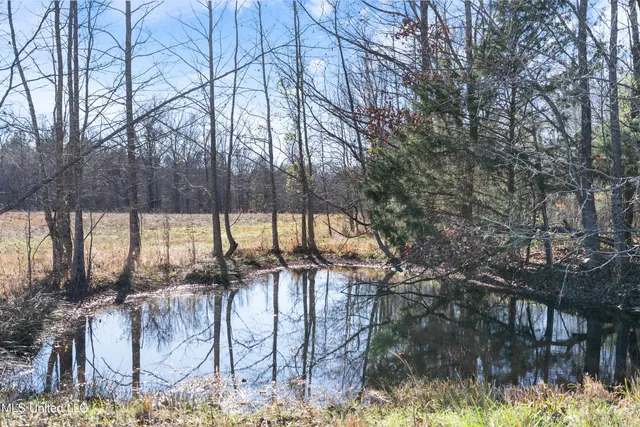 $6,775,000 | 532 Quailwood Road, Holly Springs, MS 38635