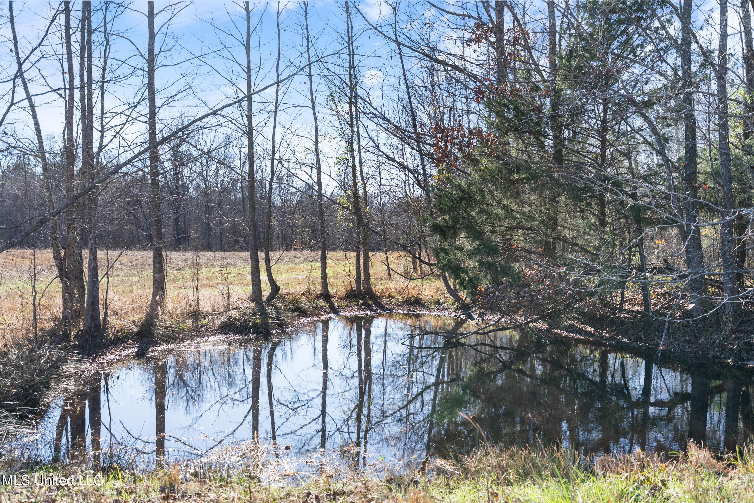 532 Quailwood Road Holly Springs, MS 38635 - Photo 110 of 113 dsc03237