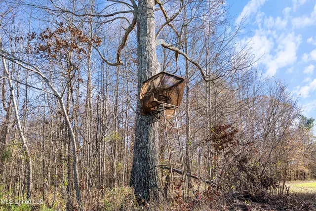 $6,775,000 | 532 Quailwood Road, Holly Springs, MS 38635