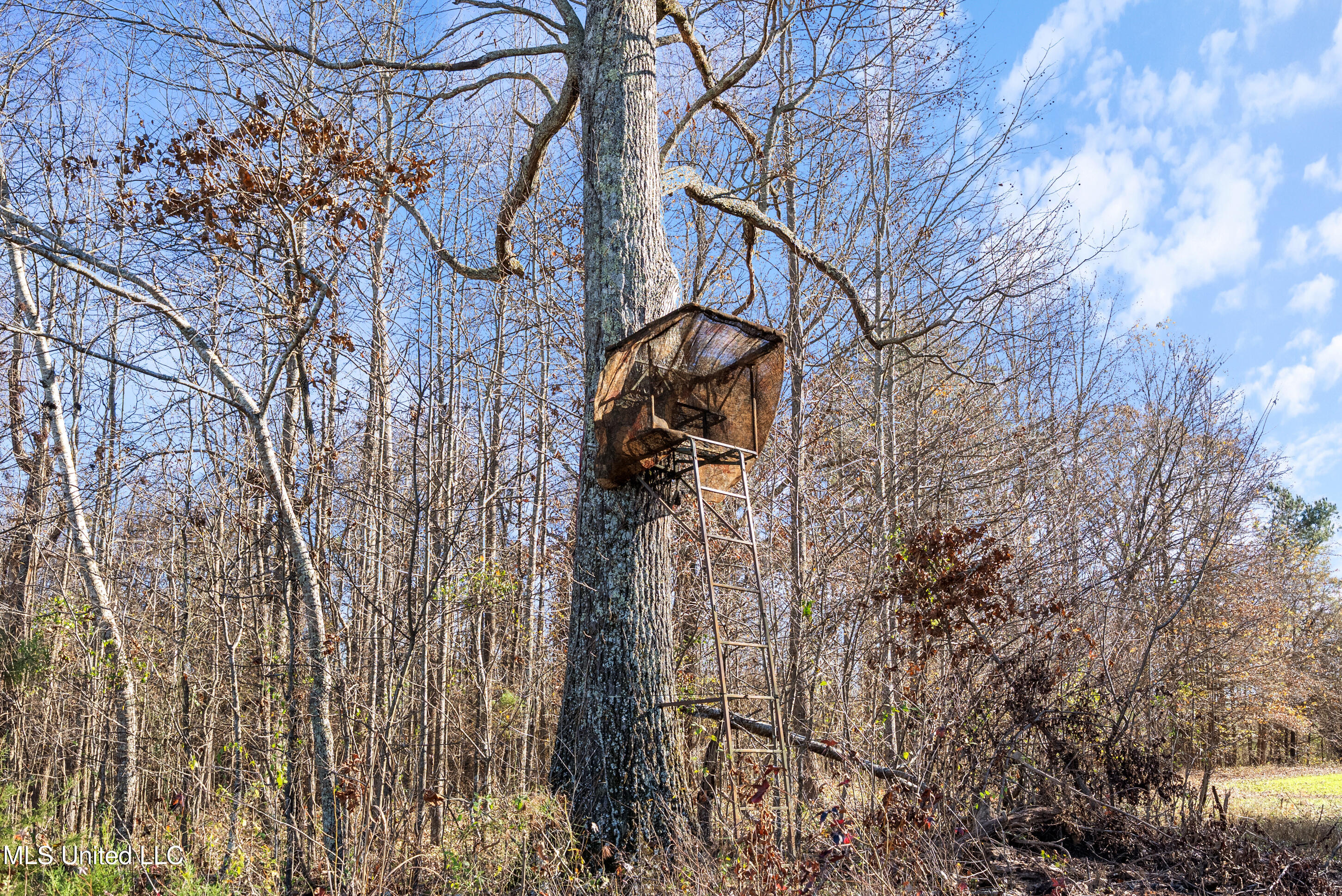 532 Quailwood Road Holly Springs, MS 38635 - Photo 111 of 113 dsc03252