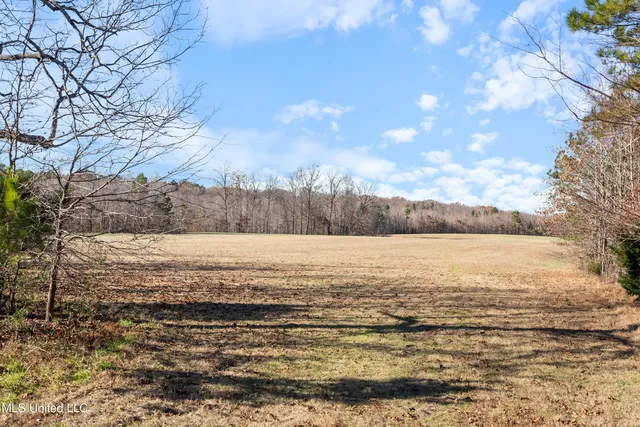 $6,775,000 | 532 Quailwood Road, Holly Springs, MS 38635