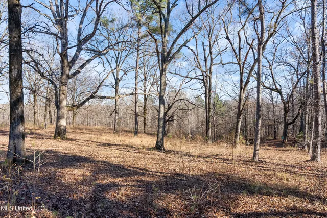 $6,775,000 | 532 Quailwood Road, Holly Springs, MS 38635