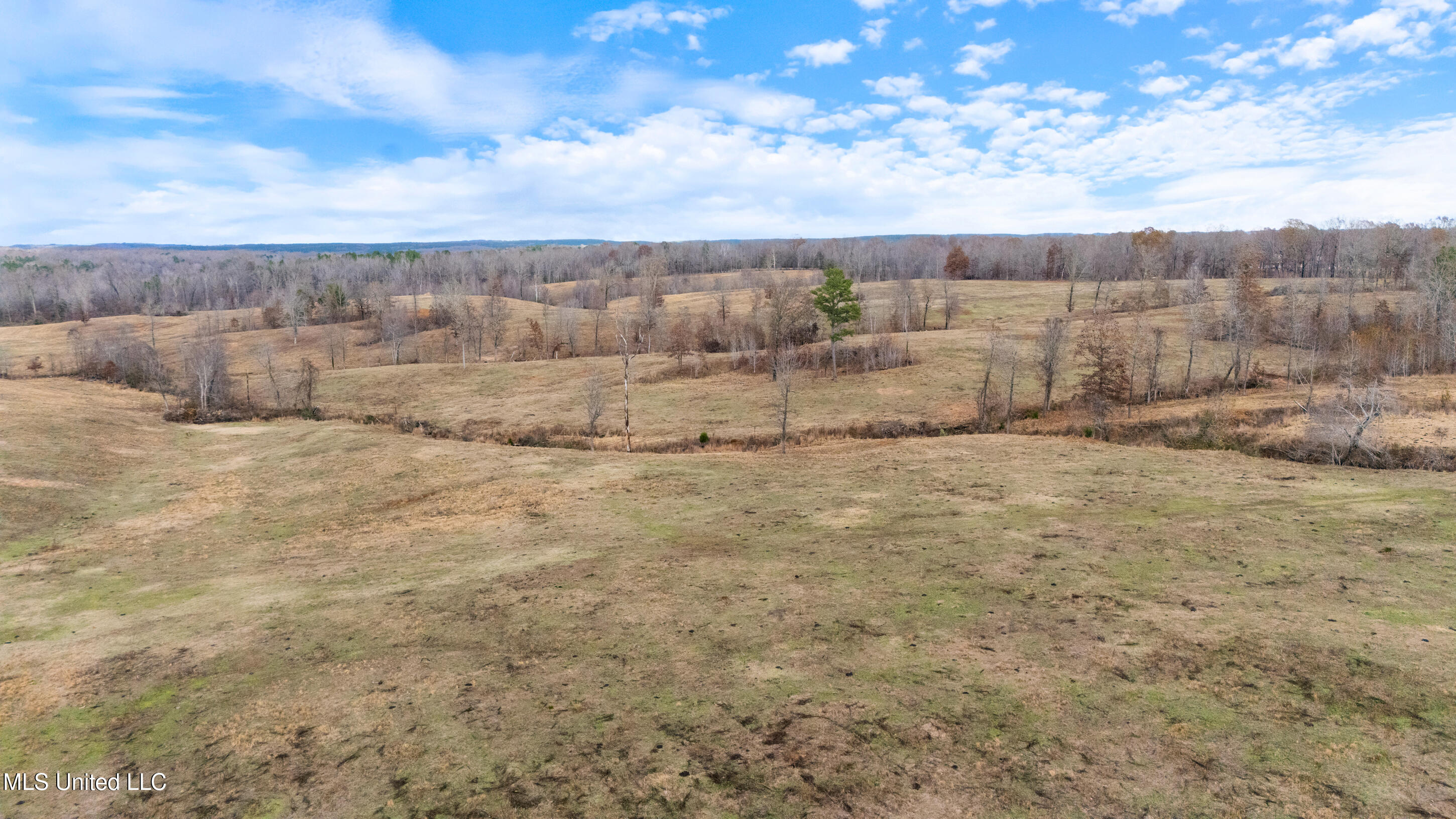 532 Quailwood Road Holly Springs, MS 38635 - Photo 73 of 113 dji_20251125124043_0003_d