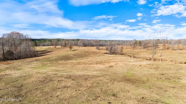 $6,775,000 | 532 Quailwood Road, Holly Springs, MS 38635