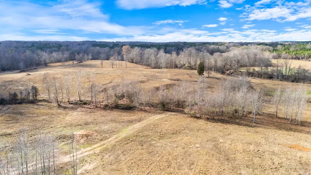 $6,775,000 | 532 Quailwood Road, Holly Springs, MS 38635