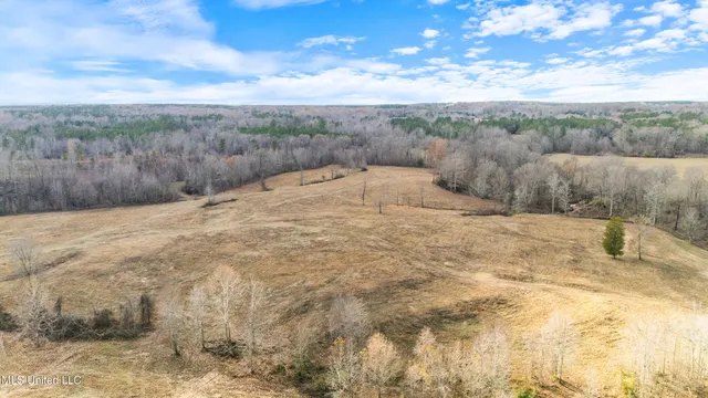 $6,775,000 | 532 Quailwood Road, Holly Springs, MS 38635