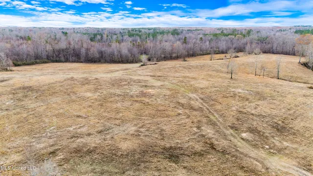 $6,775,000 | 532 Quailwood Road, Holly Springs, MS 38635