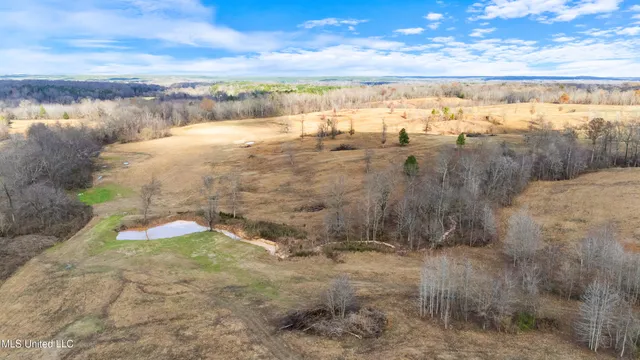 $6,775,000 | 532 Quailwood Road, Holly Springs, MS 38635