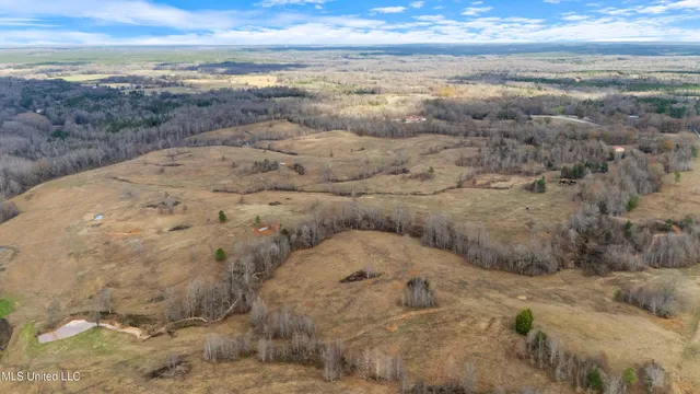 $6,775,000 | 532 Quailwood Road, Holly Springs, MS 38635