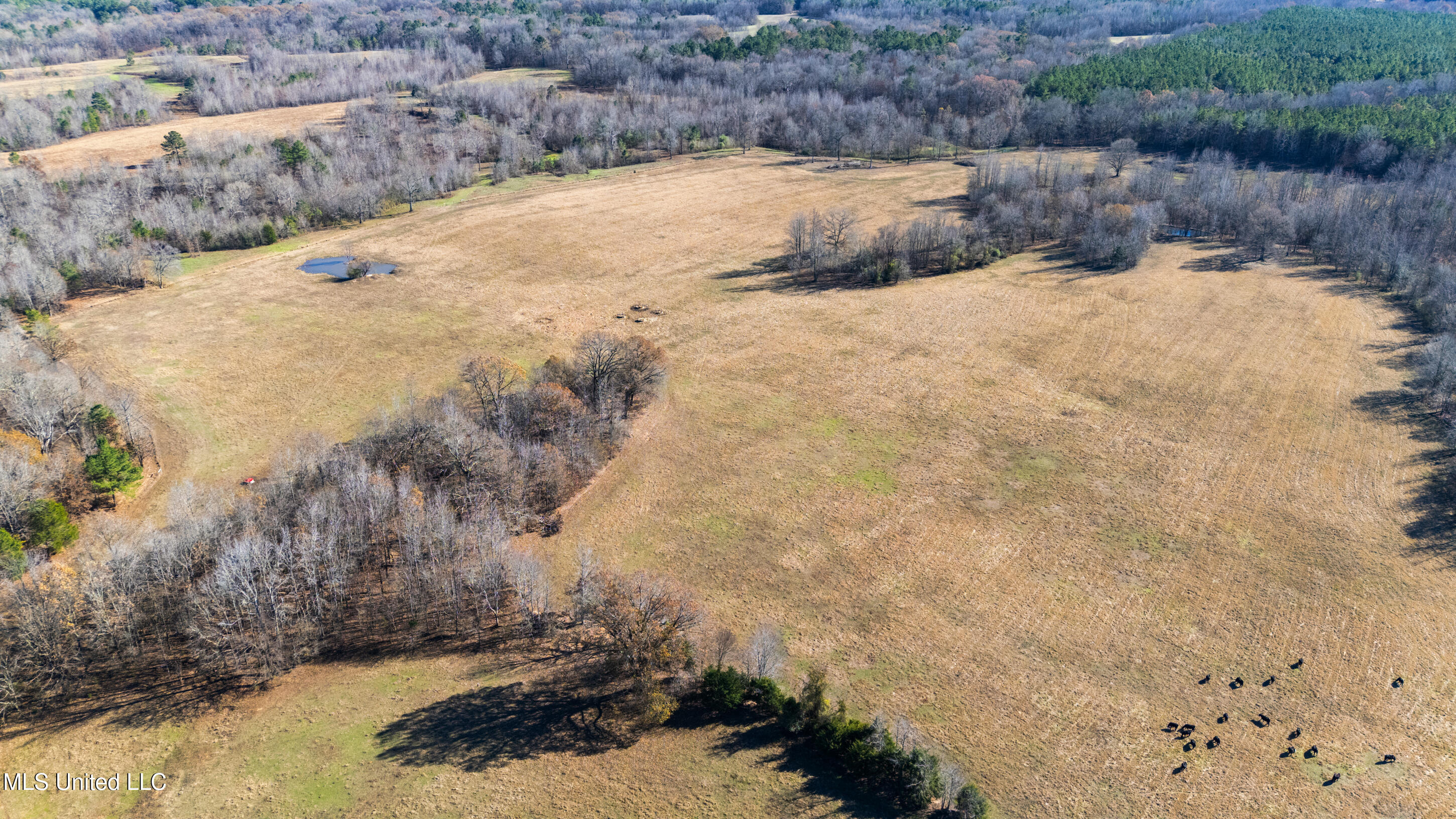 532 Quailwood Road Holly Springs, MS 38635 - Photo 89 of 113 dji_20251126133011_0206_d