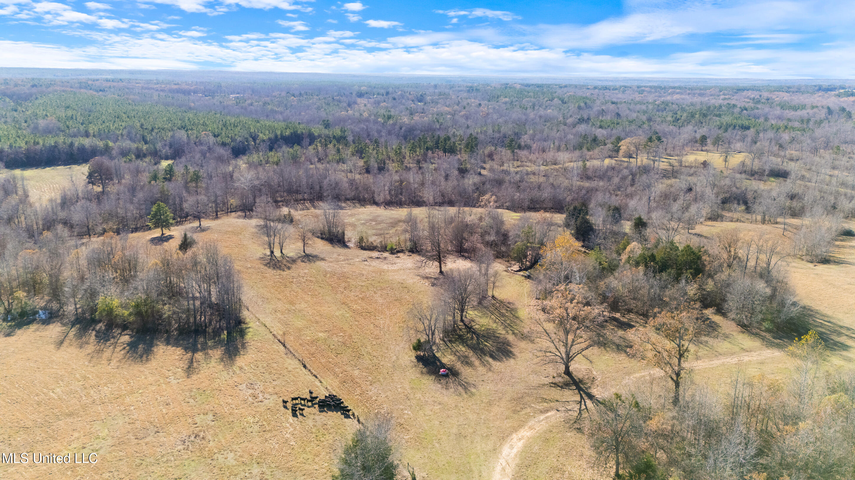 532 Quailwood Road Holly Springs, MS 38635 - Photo 90 of 113 dji_20251126133542_0217_d
