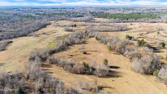 $6,775,000 | 532 Quailwood Road, Holly Springs, MS 38635