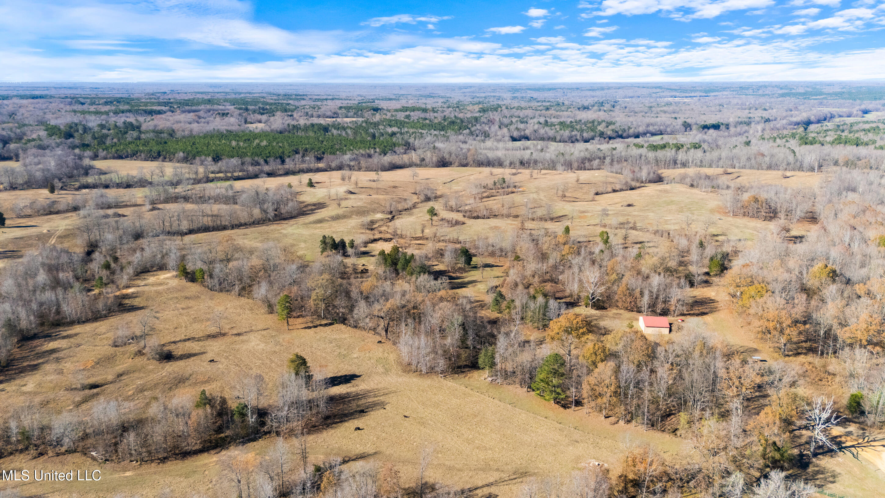 532 Quailwood Road Holly Springs, MS 38635 - Photo 93 of 113 dji_20251126133620_0232_d
