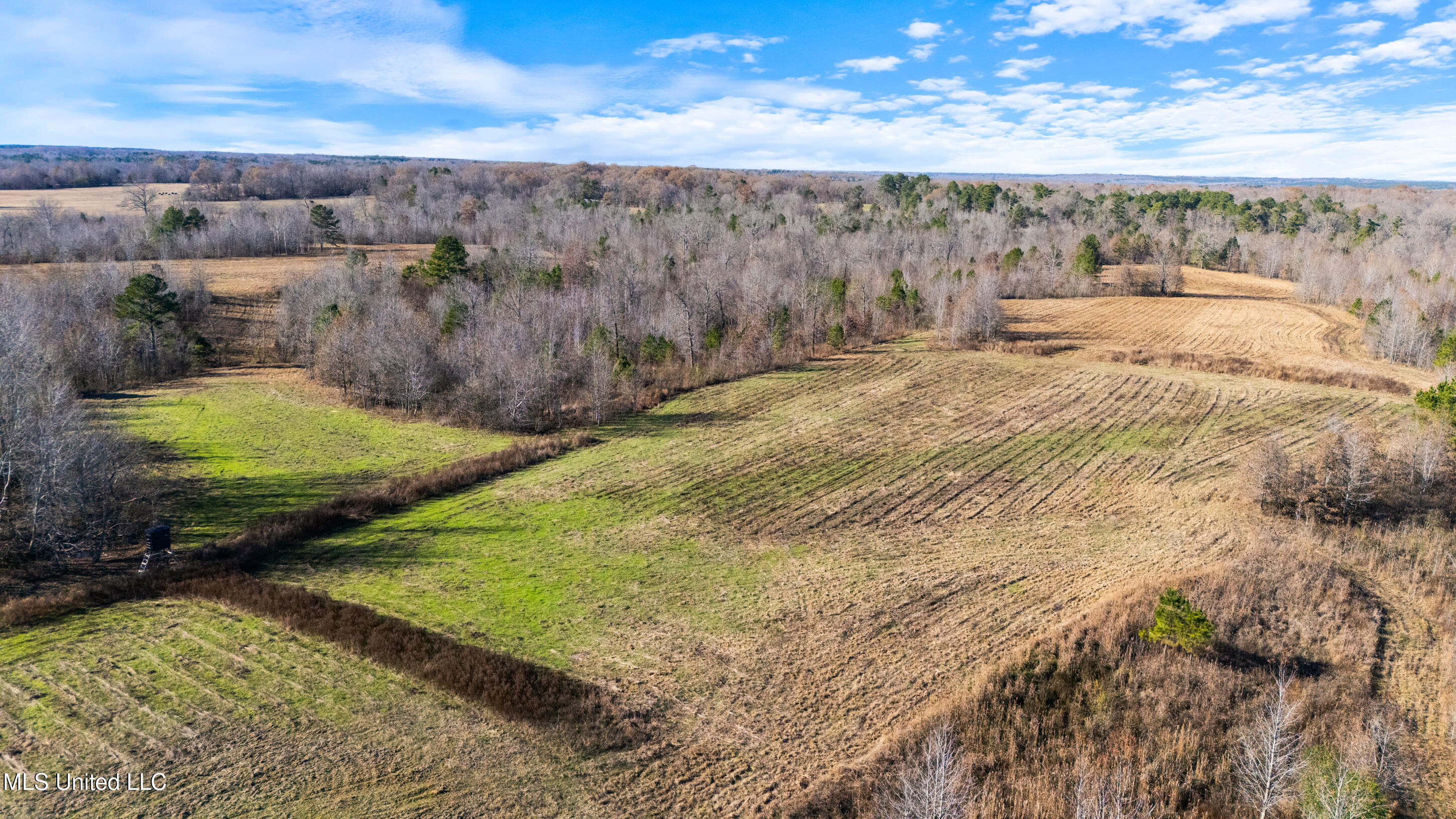 532 Quailwood Road Holly Springs, MS 38635 - Photo 96 of 113 dji_20251126140852_0249_d