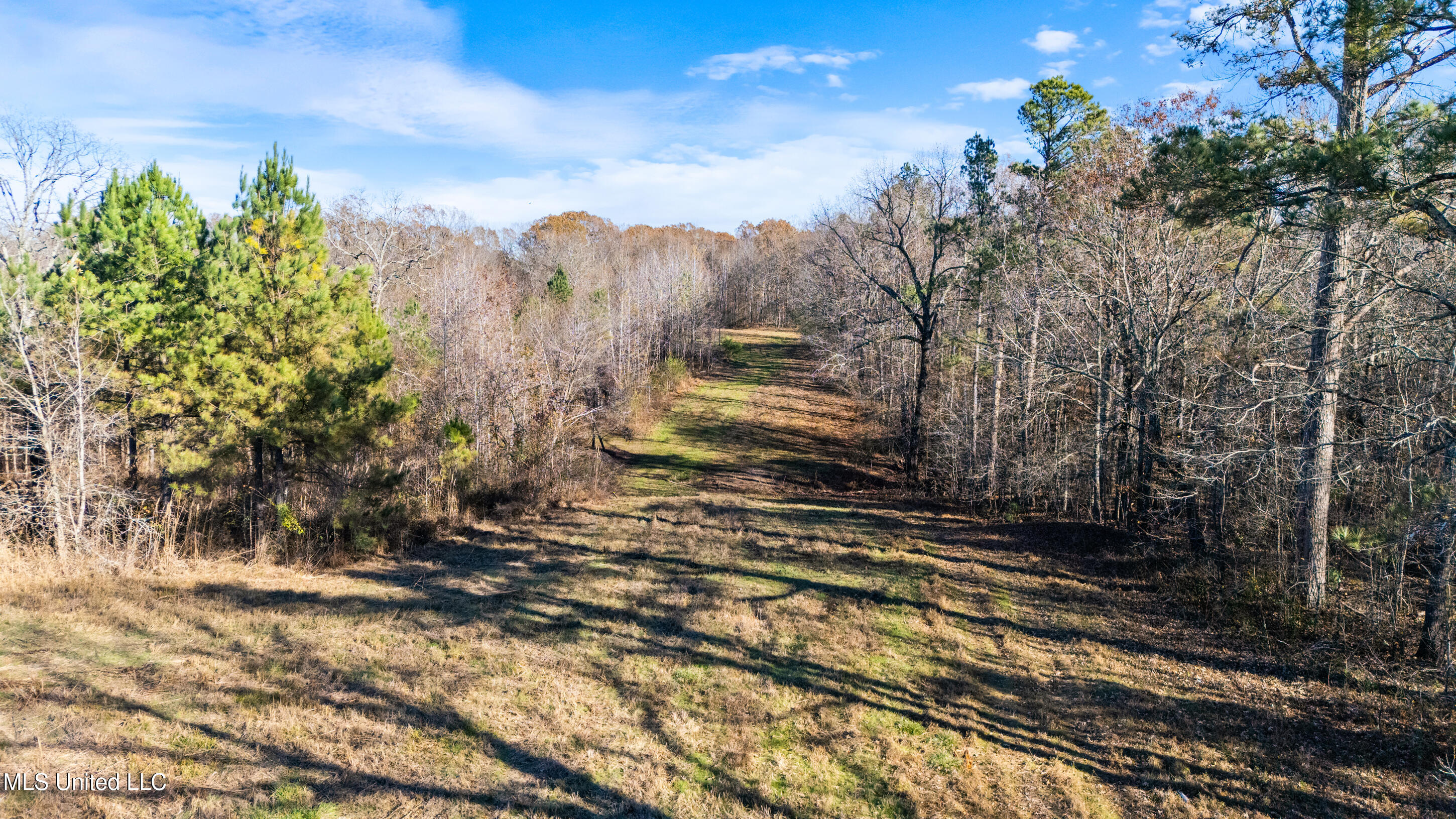 532 Quailwood Road Holly Springs, MS 38635 - Photo 97 of 113 dji_20251126140932_0254_d