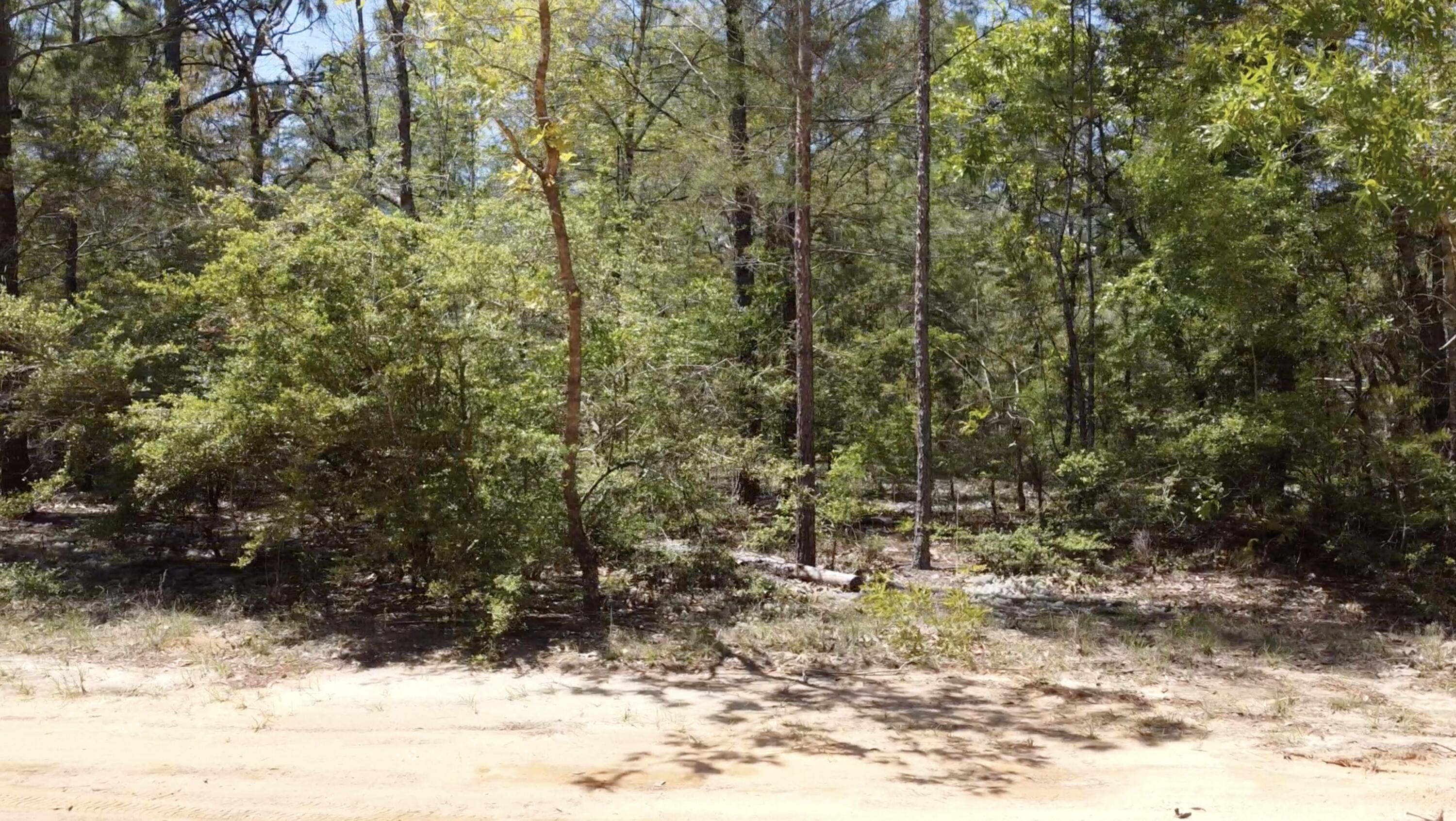 Lot 11 Randi Road Crestview, FL 32539 - Photo 3 of 12 Gallery Image 3
