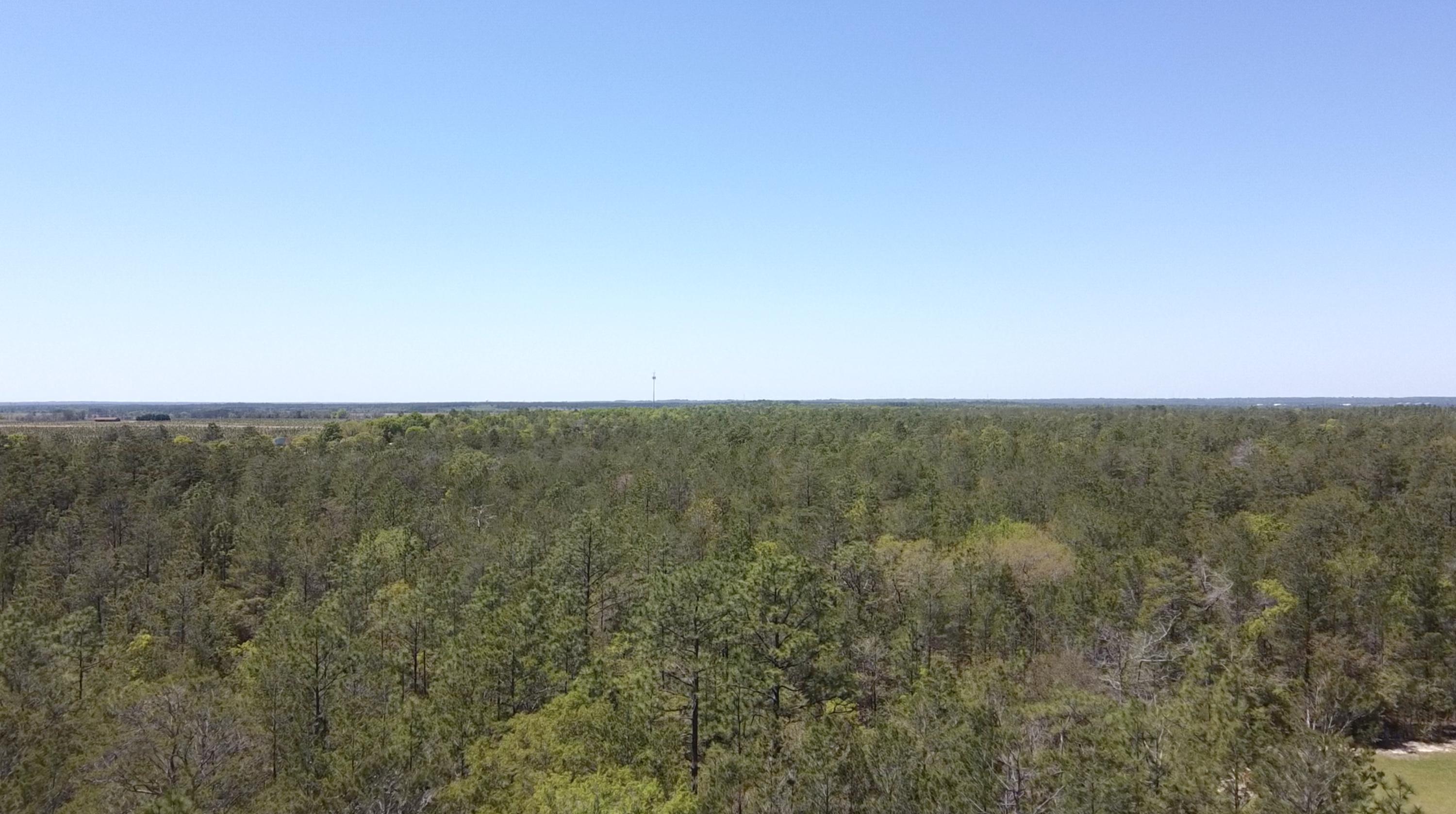 Lot 11 Randi Road Crestview, FL 32539 - Photo 5 of 12 Gallery Image 5