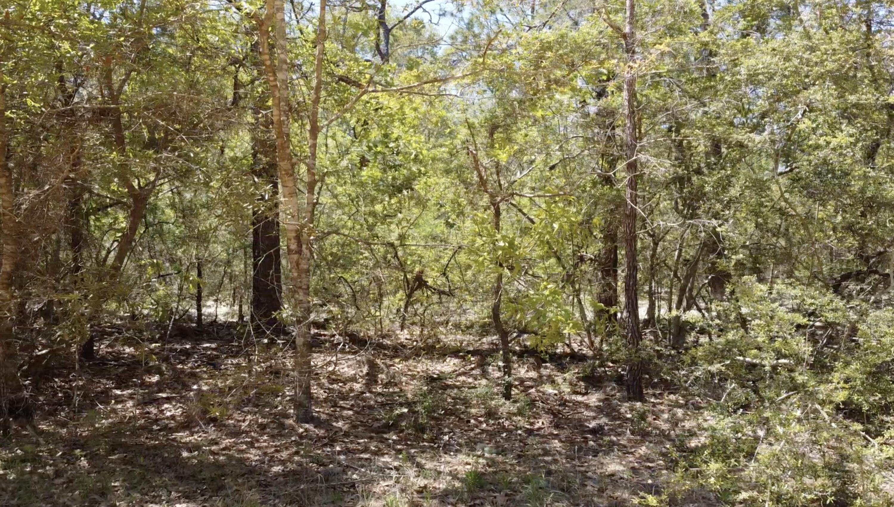 Lot 11 Randi Road Crestview, FL 32539 - Photo 7 of 12 Gallery Image 7